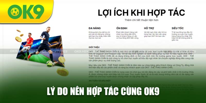 Lý giải tại sao bạn nên tham gia làm đại lý cho nhà OK9