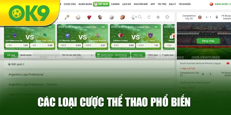 Các loại cược phổ biến có tại sảnh thể thao