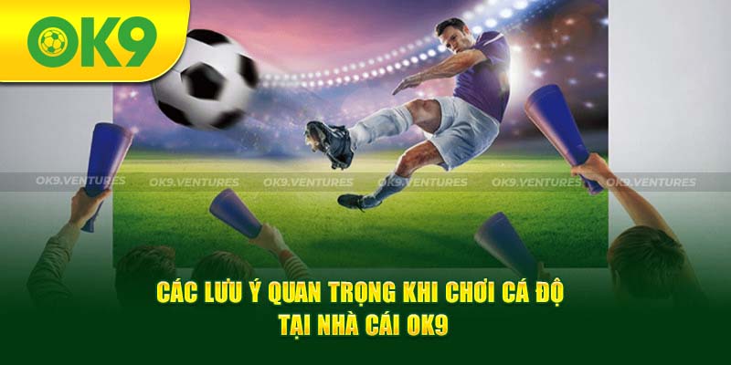 Các lưu ý quan trọng khi chơi cá cược tại nhà cái OK9