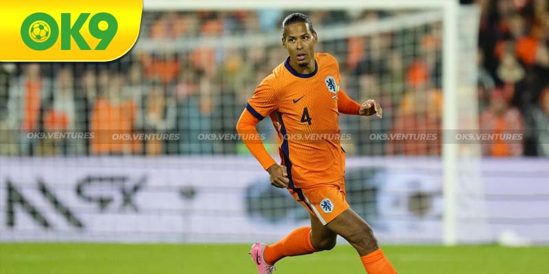 Virgil van Dijk: Chốt chặn đáng tin cậy ở hàng phòng ngự.