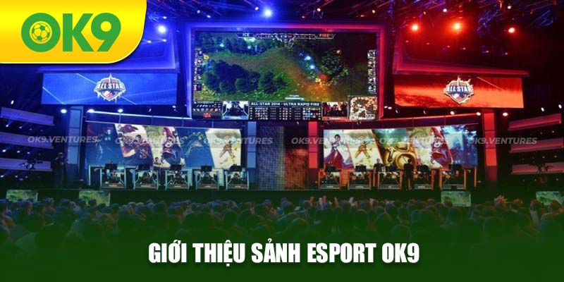 Tổng quan sảnh cược Esport OK9