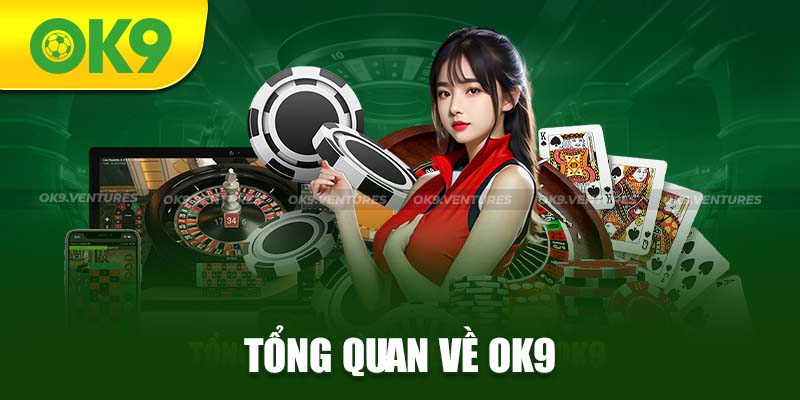 Tổng quan về thương hiệu OK9