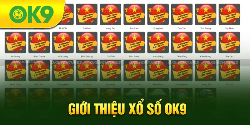 Tổng quan về sảnh xổ số nhà cái OK9