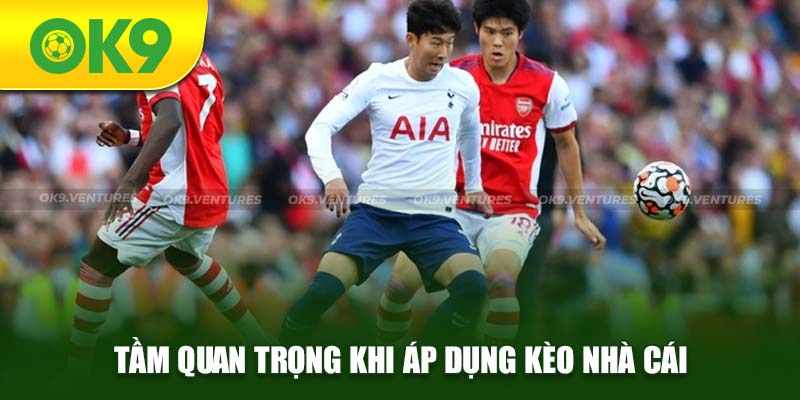 Tầm quan trọng áp dụng kèo nhà cái OK9